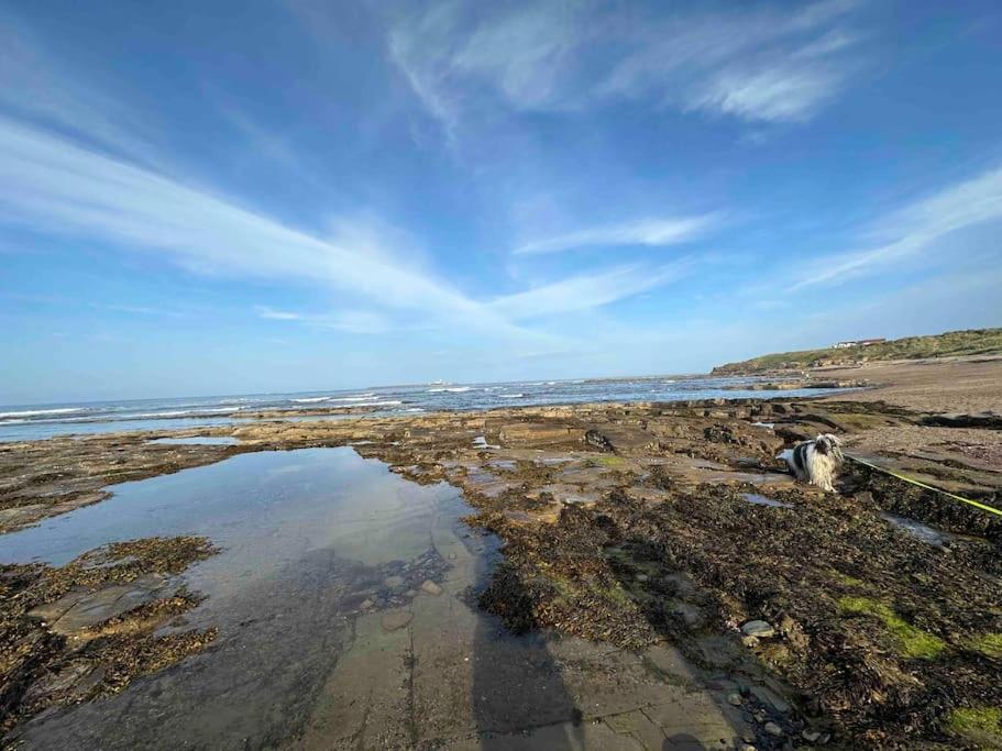 Springtide House Vila Amble Exterior foto